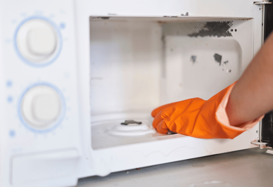 Microwave Repair Service in Bareilly