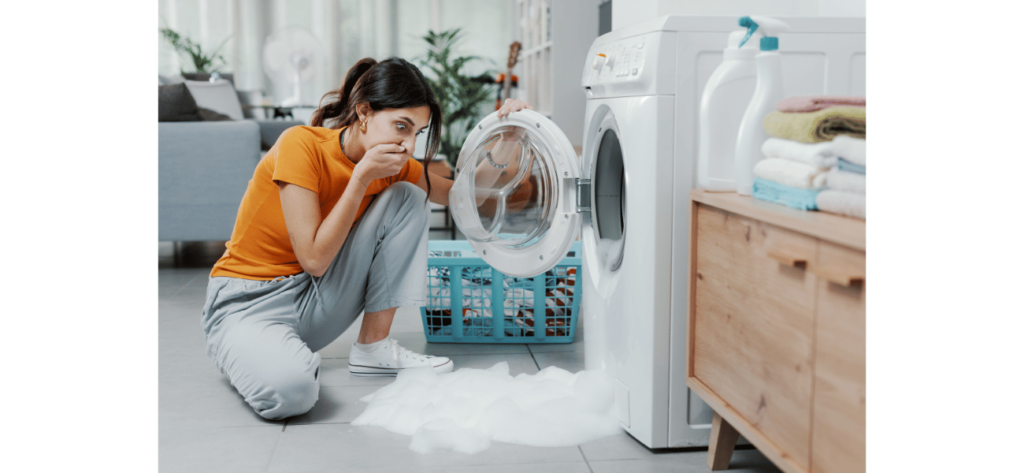 Washing Machine Repair in Bareilly